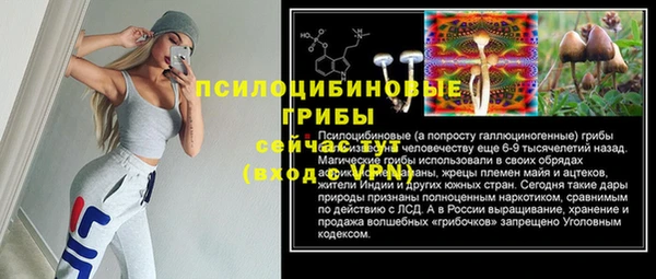 герыч Няндома