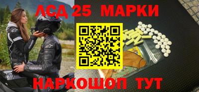 прущие грибы Абакан