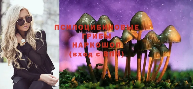 цена   Сертолово  Псилоцибиновые грибы Magic Shrooms 