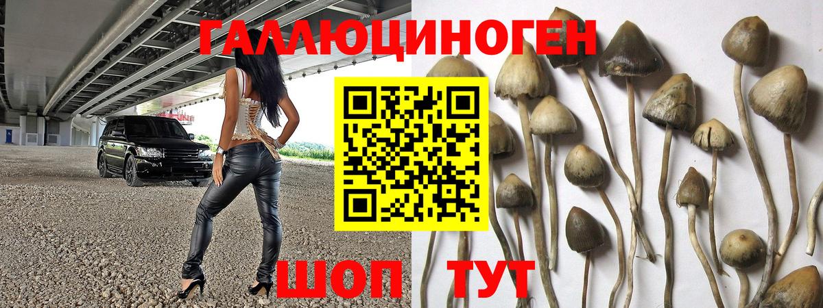 Псилоцибиновые грибы Cubensis  Галлюциногенные грибы Cubensis  Вход с VPN  Сертолово 